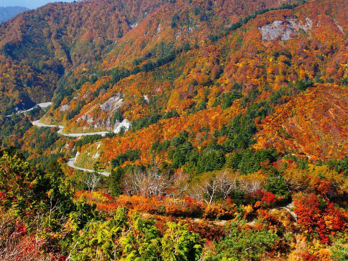 Ichirino Kogen Hotel Roan Hakusan Exteriér fotografie